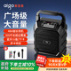 愛(ài)國者 T203 Pro無(wú)線(xiàn)藍牙音箱戶(hù)外大音量廣場(chǎng)舞音響家用收音機手提便攜式擺攤喇叭收款語(yǔ)音播報器 單咪版