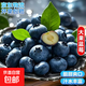 國產(chǎn)云南超大果云南藍莓【JD快遞】精選新鮮藍莓 孕婦水果 4盒裝 多買(mǎi)多劃算【70-90g/盒】 中果【單果15mm+】