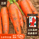 北蔬 紅胡蘿卜種子老品種可生吃冬四季蔬菜籽 五寸參胡蘿卜種子2000粒