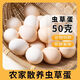 鹿悠列胖東來(lái)同款谷物蟲(chóng)草鮮雞蛋正宗山林散養谷飼喂養蟲(chóng)草雞蛋整箱枇發(fā) 優(yōu)選蟲(chóng)草蛋 精選40枚【2000克左右】