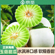 京覓海南玉菇甜瓜凈重4.5-5斤單果750g+新鮮冰淇淋蜜瓜香源頭直發(fā)