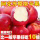 順豐正宗新疆阿克蘇櫻桃小蘋(píng)果4斤新鮮水果脆甜紅富士丑萍果禮盒M 5斤果王禮盒裝【順豐甄選】