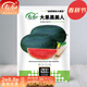 壽禾 西瓜種子大全麒麟瓜種8424南方冬春季 （黑皮大果）黑美人西瓜種子20粒