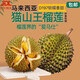 貓山王榴蓮馬來(lái)西亞D197進(jìn)口水果新鮮送禮熟液氮冷凍美味【京東冷鏈】 2.5-3斤