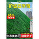 歐芽護坡固土草坪草籽耐寒耐旱礦山復綠河堤綠化高羊茅護坡王草坪種子 護坡四季青包衣10斤裝快速復綠