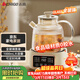 志高（CHIGO）全玻璃養生壺1L花茶壺保溫一體全自動(dòng)恒溫電熱水壺圍爐煮茶0膠水可燉煮BG-02送禮女性佳品