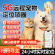 閑鳥(niǎo)寵物定位器gps追蹤器狗狗貓咪防丟失5G跟蹤神器掛脖項圈防水防拆 小型專(zhuān)用：5G定位+一鍵喚寵+項圈 尋寵計劃超長(cháng)續航版【0-1m誤差】