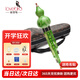相思鳥(niǎo) 葫蘆絲樂(lè )器 白銅膠木三音C調葫蘆絲初學(xué) 仿綠玉 XS1004
