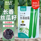 菜禾地絲瓜種子種苗早熟特長(cháng)香甜庭院春季蔬菜種籽 長(cháng)香絲瓜種子5g