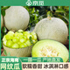 京覓海南網(wǎng)紋瓜凈重4.5-5斤單果750g+新鮮網(wǎng)紋蜜瓜源頭直發(fā)