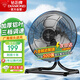 鉆石牌臺式趴地扇搖頭風(fēng)扇家用落地扇強力工業(yè)風(fēng)扇臺地扇大功率商用電風(fēng)扇TF1801