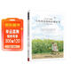 日系親子攝影：寫(xiě)給爸爸媽媽的攝影書(shū)記錄孩子點(diǎn)滴生活 攝影入門(mén)基礎教材書(shū)初學(xué)到精通教學(xué)人像靜物風(fēng)景布光用手機玩數碼單反親子攝影初學(xué)到精通教學(xué)