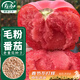 壽禾 毛粉沙瓤番茄種子種苗西紅柿冬春菜籽 濰育粉冠大番茄種子100粒