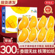 京地達海南芒果金煌芒大芒果凈重8斤單果300g+新鮮水果源頭直發(fā)包郵