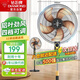 鉆石牌電風(fēng)扇家用落地扇辦公室立式風(fēng)扇客廳大風(fēng)量定時(shí)機械搖頭風(fēng)扇FS-45-1