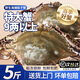 新鮮梭子蟹鮮活冷凍超大螃蟹舟山海鮮水產(chǎn)野生梭子蟹滿(mǎn)飛蟹白蟹黃 5-7兩/只 【凈重4斤 舟山直發(fā)】