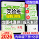 【科目可選】2026春實(shí)驗班九年級下實(shí)驗班提優(yōu)訓練九下人教版初中九年級下冊上冊實(shí)驗班九上初三教材同步單元配套練習冊課堂輔導資料書(shū) 【九年級下】化學(xué) 人教版