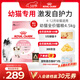 皇家幼貓貓糧 幼貓奶糕 K36 通用糧 4-12月 4.5KG