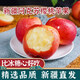 絲路甜心正宗阿克蘇蘋(píng)果櫻桃蘋(píng)果【天生個(gè)頭小 原生態(tài) 脆甜多汁】產(chǎn)地直發(fā) 5斤-小果【單果65-70mm】 脆甜多汁/果香濃郁