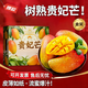 閩農語(yǔ)果貴妃芒果水果芒果香甜多汁芒果皮薄肉厚新鮮當季熱帶水果 5斤優(yōu)選果【單果100g+】?jì)?.5斤 多層包裝-鎖鮮閃送