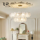 飛朵法式客廳吊燈創(chuàng  )意輕奢奶大廳照明水晶燈高檔餐廳燈油風(fēng)臥室燈具 【包安裝】直徑50CM-送三色燈泡