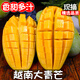 唯亭美正宗大青芒青皮芒果玉芒熱帶水果當季新鮮現摘皮薄肉厚整箱批發(fā) 生熟兩吃青芒【單果300-400g】?jì)糁?.5斤