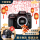 尼康/Nikon D7000 D7100 D7200 D500 D610 半畫(huà)幅中端二手單反數碼相機 D7500[單機] 99成新
