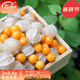 壽禾 東北姑娘果燈籠果種子洋菇娘黃金莓盆栽蔬菜陽(yáng)臺盆栽冬春季種籽 粒粒甜小黃菇娘種子 5g裝