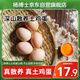 楊博士 散養土雞蛋10枚 凈重450g 新鮮雞蛋溏心蛋笨雞蛋生鮮源頭直發(fā)