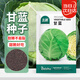 北蔬 甘藍種子苗卷心菜包菜圓白菜大頭菜春季蔬菜種籽 甘藍種子500粒