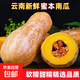 【特價(jià)】正宗高原蜜本南瓜甜糯老南瓜當季新鮮蔬菜整箱裝產(chǎn)地直發(fā) 【家庭實(shí)惠裝】 3斤 帶箱