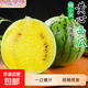 超甜特小鳳西瓜網(wǎng)紅時(shí)令水果皮薄清甜多汁黃心黃肉冰淇淋口感 特小鳳帶箱3-4斤（1-2個(gè)）凈重3斤+