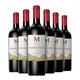 大M 智利原瓶進(jìn)口紅酒一箱 赤霞珠干紅葡萄酒整箱送禮6支*750ml