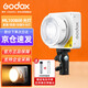 神牛（Godox）攝影燈雙色溫可調便攜夜拍燈人像補光燈戶(hù)外控制室電影視頻攝像燈 ML100Bi L【官方標配】