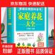 家庭養花大全圖解方法掌握家庭養花百科養花常識一本通全方位圖解美繪版養花書(shū)花卉大全養花書(shū)籍種花大全植物圖鑒花卉種植栽培技術(shù) 【單冊】家庭養花大全:彩圖