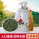 印象堂茶葉 福建一級云霧綠茶高新茶山濃香耐泡罐裝 云霧綠茶山茶花罐 100g*1罐