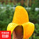 貴妃芒芒果皮薄多汁 帶箱2斤單果150g+（凈重1.8斤）