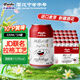天湖啤酒10度精品黃啤330ml*24聽(tīng)易拉罐整箱口感清爽節日送禮聯(lián)名款 聯(lián)名黃啤 24罐 330mL