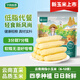 華田禾邦【新玉米】云南拇指玉米1斤(6-12根)兒童甜糯小玉米西雙版納 早餐