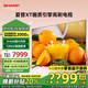 SHARP夏普 75英寸超清4K護眼電視 120HZ高刷智慧語(yǔ)音GL6500A 3+64G智能網(wǎng)絡(luò )液晶平板電視機 75英寸 3+64G內存