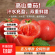 云南高山西紅柿水果番茄可生吃新鮮蔬菜生鮮產(chǎn)地直發(fā) 西紅柿帶箱6斤 5.5斤 凈重