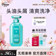 黛絲恩致美清爽去屑洗發(fā)水450ml 凈爽控油洗發(fā)露