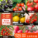 北蔬 西紅柿種子種苗盆栽小果大果番茄蔬菜種籽 8種西紅柿種子組合