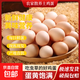 山林正宗自養鮮雞蛋鮮雞蛋新鮮雞蛋現撿生鮮買(mǎi)菜單枚40g-45g 山林自養土雞蛋10枚