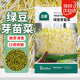 北蔬 綠豆芽苗菜種子種苗家庭水培無(wú)土栽培菜種籽 綠豆芽苗菜種子200g