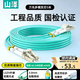 山澤 光纖跳線(xiàn) LC-LC萬(wàn)兆多模雙芯OM3-300 工程級光纖尾纖 阻燃低煙無(wú)鹵 機房光纖線(xiàn)網(wǎng)線(xiàn) 5米G3-LCLC05