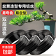 盆景造型專(zhuān)用鋁絲園藝用品軟鋁線(xiàn)條手工具黑白色盤(pán)扎捆綁花卉定型 黑色鋁線(xiàn) 1.0mm 長(cháng)約20米