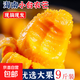 海南新鮮小臺農芒果當季超甜現摘孕婦臺農芒整箱熱帶時(shí)令水果禮盒 小臺芒凈重1.8-2斤單果60g+
