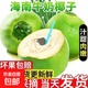 現摘超大果海南文昌三亞新鮮帶皮青椰子汁水多孕婦補羊水椰青特產(chǎn) 6粒 單果3-5斤