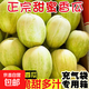 （霖錦）正宗新鮮東北香瓜金飛香瓜牛奶甜瓜單果150g+沈陽(yáng)發(fā)貨 帶箱約4斤，凈果3.6斤